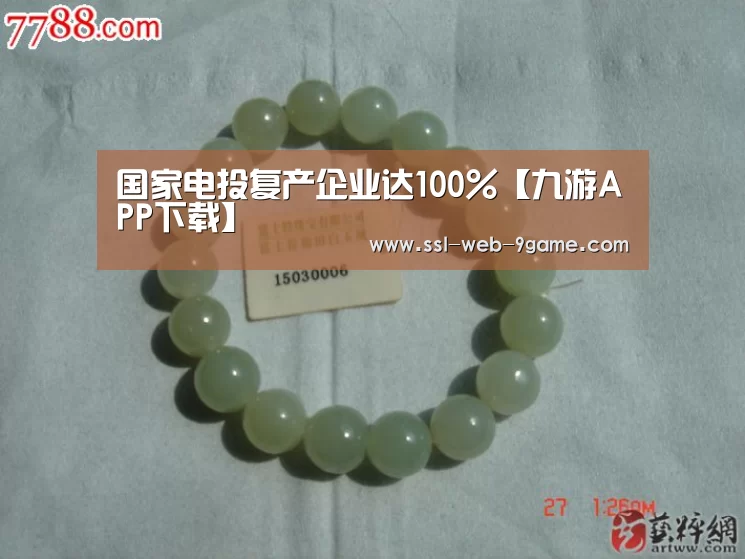 国家电投复产企业达100%【九游APP下载】(图1) 九游官网